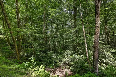 92A Wren Way, Banner Elk, NC 28604 - Photo 8
