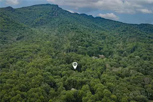 241 The Glens Blvd, Banner Elk, NC 28604 - Photo 6
