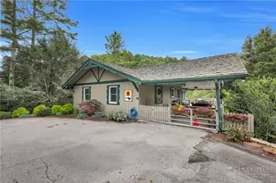 131 Balsam, Boone, NC 28607 - Photo 46