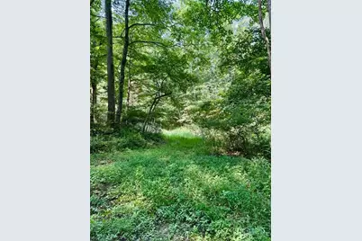 Tbd Grassy Creek Road, Grassy Creek, NC 28631 - Photo 2