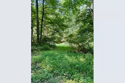Tbd Grassy Creek Road, Grassy Creek, NC 28631 - Photo 10