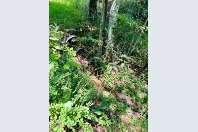 Tbd Grassy Creek Road, Grassy Creek, NC 28631 - Photo 16