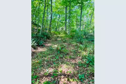 Tbd Grassy Creek Road, Grassy Creek, NC 28631 - Photo 8