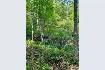 Tbd Grassy Creek Road, Grassy Creek, NC 28631 - Photo 12