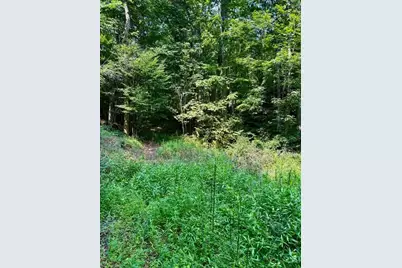Tbd Grassy Creek Road, Grassy Creek, NC 28631 - Photo 4