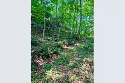 Tbd Grassy Creek Road, Grassy Creek, NC 28631 - Photo 14