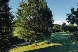 137 Northridge, Newland, NC 28604 - Photo 24