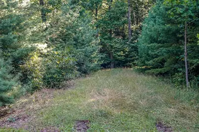 Lot 5 Dream Forest Path, Banner Elk, NC 28604 - Photo 4