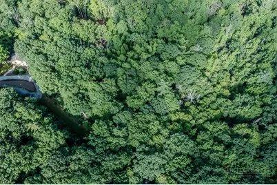 Lot 5 Dream Forest Path, Banner Elk, NC 28604 - Photo 6