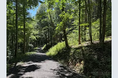 7 Wolfsbane Lane, Todd, NC 28684 - Photo 20