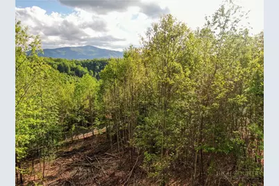 Lot 25 Tbd Lake View Drive, Elk Park, NC 28622 - Photo 4