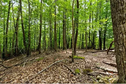 203 Sourwood Lane, Beech Mountain, NC 28604 - Photo 8