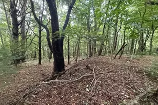 Lot 35 36 Walter Godbey Rd, West Jefferson, NC 28694 - Photo 1