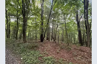 Lot 35/36 Walter Godbey Road, West Jefferson, NC 28694 - Photo 4