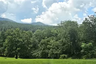 161 Thunder Ridge Rd, Laurel Springs, NC 28644 - Photo 48