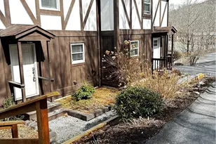 174 Grouse Moor Dr, Banner Elk, NC 28604 - Photo 44