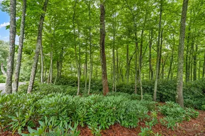 Lot 408 Tbd Firethorn Trail, Blowing Rock, NC 28605 - Photo 6