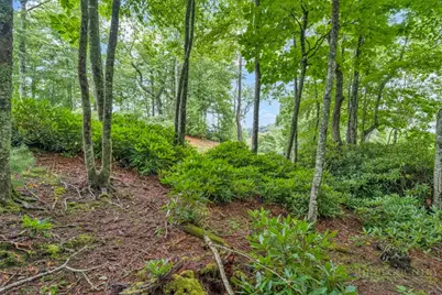 Lot 408 Tbd Firethorn Trail, Blowing Rock, NC 28605 - Photo 12