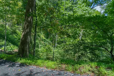 Lot 4 Stonegate Lane, Creston, NC 28615 - Photo 1