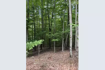 141 Sassafrass Road, Beech Mountain, NC 28604 - Photo 8