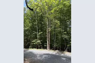 141 Sassafrass Road, Beech Mountain, NC 28604 - Photo 6