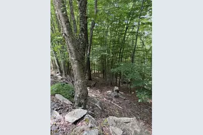 141 Sassafrass Road, Beech Mountain, NC 28604 - Photo 4