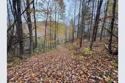 Tbd Rominger Road, Banner Elk, NC 28604 - Photo 16