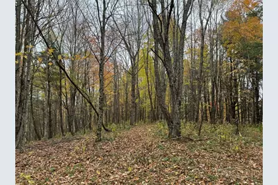 Tbd Rominger Road, Banner Elk, NC 28604 - Photo 8
