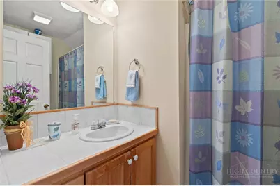 376 Deerfield Forest Parkway, Boone, NC 28607 - Photo 20