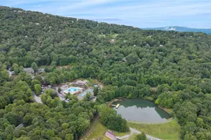 100 Grassy Gap Loop Rd, Beech Mountain, NC 28604 - Photo 4
