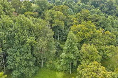 Lot 16 Rose Cliff Lane, Sugar Grove, NC 28679 - Photo 10