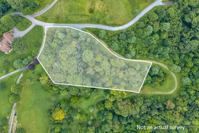 Lot 16 Rose Cliff Lane, Sugar Grove, NC 28679 - Photo 6