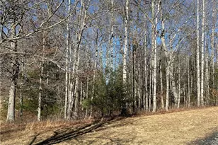 Lot 23 Bear Den Rd, Sparta, NC 28675 - Photo 1