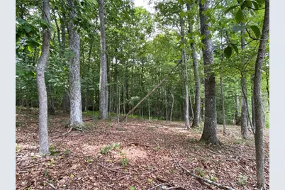 Tbd Weaver's Ford Road, Grassy Creek, NC 28631 - Photo 12