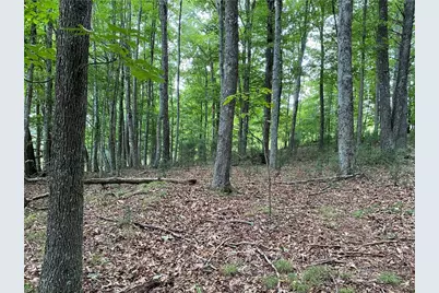 Tbd Weaver's Ford Road, Grassy Creek, NC 28631 - Photo 20