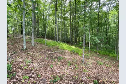 Tbd Weaver's Ford Road, Grassy Creek, NC 28631 - Photo 10