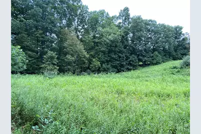 Tbd Weaver's Ford Road, Grassy Creek, NC 28631 - Photo 16