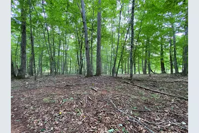 Tbd Weaver's Ford Road, Grassy Creek, NC 28631 - Photo 22