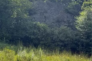 189 Old Nc 181 Hwy, Newland, NC 28657 - Photo 24