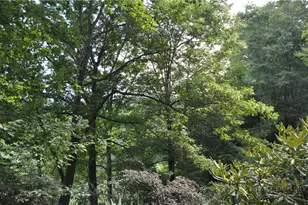 118 Laurelwood Ct, Boone, NC 28607 - Photo 40