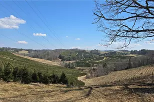 118 Laurelwood Ct, Boone, NC 28607 - Photo 10