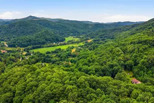 276 Wes Jones Rd, Newland, NC 28657 - Photo 38