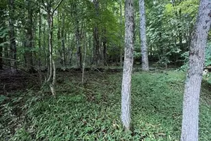 314 Frontier Dr, West Jefferson, NC 28694 - Photo 20