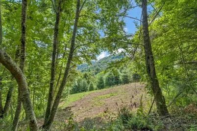 Tbd Raven Rock Road, Boone, NC 28607 - Photo 26