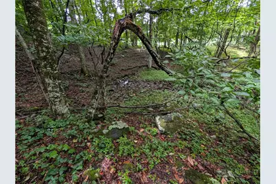 Tbd Cobbs Creek Road, Boone, NC 28607 - Photo 22
