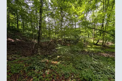 Tbd Cobbs Creek Road, Boone, NC 28607 - Photo 14