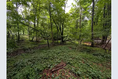 Tbd Cobbs Creek Road, Boone, NC 28607 - Photo 24