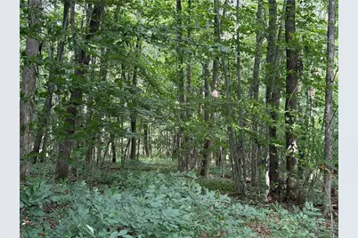 1483 Buffalo Road, West Jefferson, NC 28694 - Photo 22