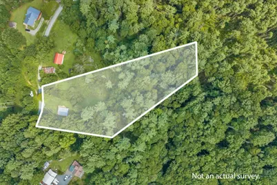 673 Hattie Hill Road, Vilas, NC 28692 - Photo 6