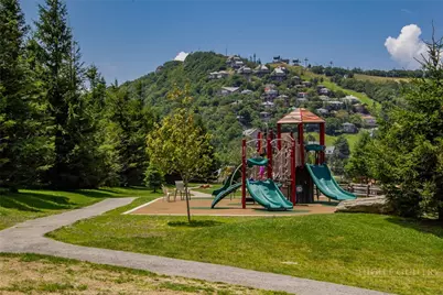 301 Pinnacle Inn Road #2116, Beech Mountain, NC 28604 - Photo 44
